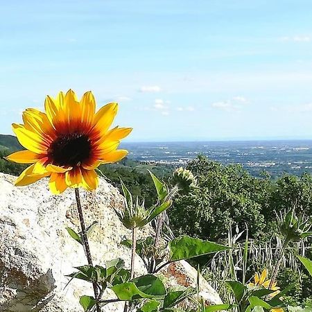 B&B Ca Montemezzano ヴェローナ エクステリア 写真