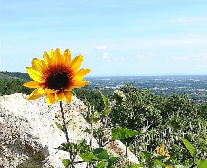 B&B Ca Montemezzano ヴェローナ エクステリア 写真