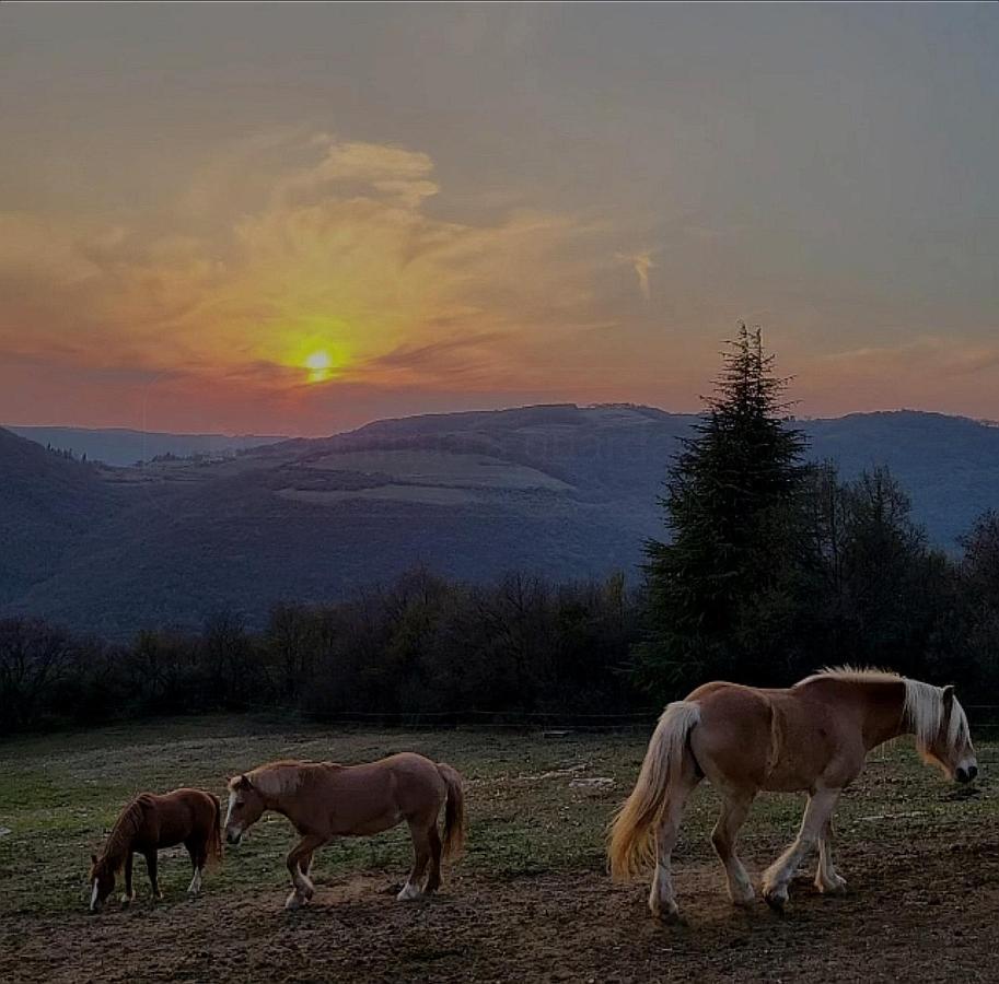 B&B Ca Montemezzano ヴェローナ エクステリア 写真